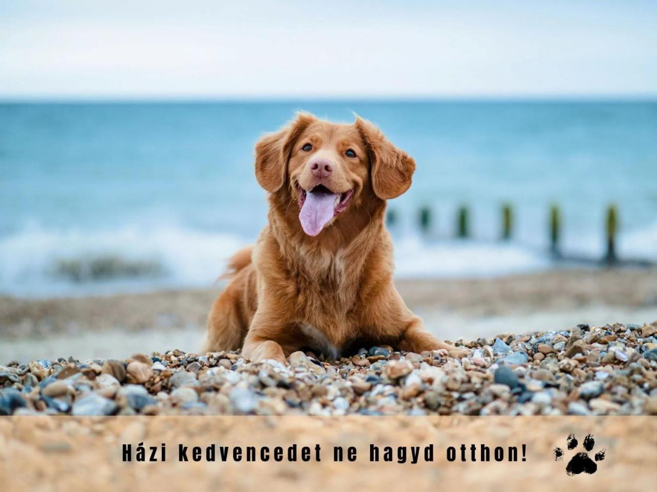 BalatonboglárEstina House别墅 外观 照片